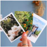 ハーフサイズプリント